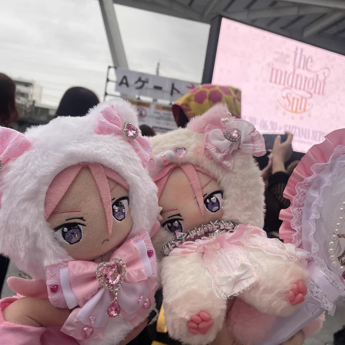 ぼっちになってしまう予定やってんけど、ぽろわ様方と3日間も遊んでもらえてほんとにほんとに楽しかった~~~ロスで寂しい…またくるよ~~~~ㅠ ̫ㅠ