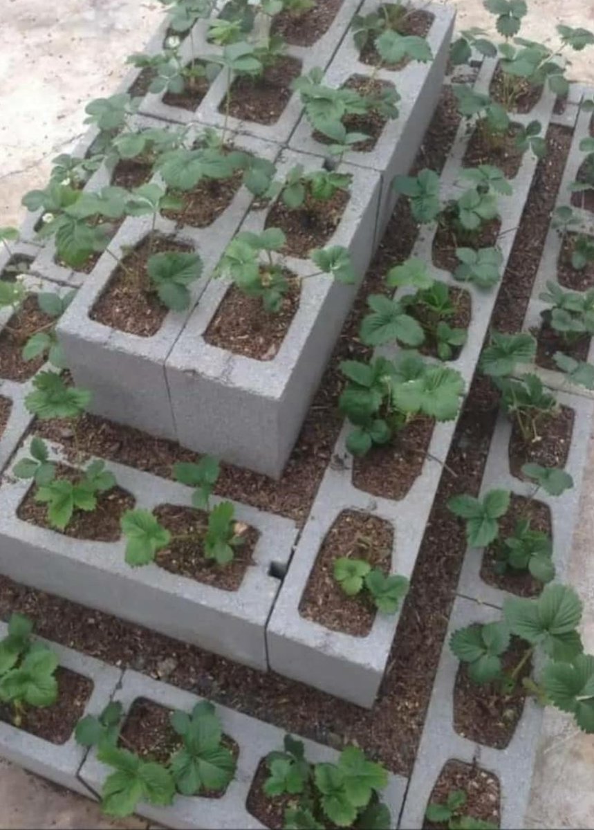 TwilightAfrika's tweet image. Welcome to july.... We create amazing memories 

Don&apos;t snooze on your web 3 journey with all the possibilities that abound... Stay up fam! 

#BetheOne
#ProvideSolutions