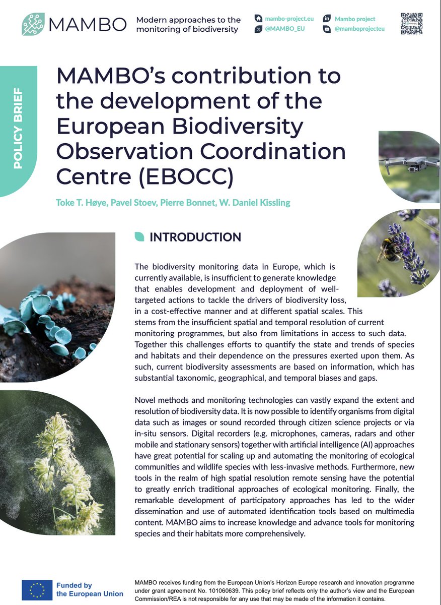 📢Over the past few months, MAMBO developed its 1️⃣st #policy brief on its role in <a href="/EuropaBon_H2020/">EuropaBON</a>'s  European #Biodiversity Observation Coordination Centre (#EBOCC).🌿Find it now in <a href="/RIOJournal/">RIO Journal</a> and on MAMBO's website. 🔎
🔗riojournal.com/topical_collec… 🔗mambo-project.eu/media-center/p…
