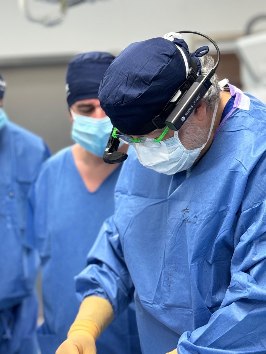 Rods&Cones tweet media