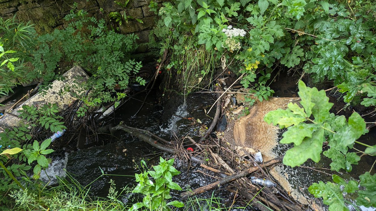 MerseyRivers's tweet photo. Day 2 of our #MerseyRiversWeek with a staff survey of the upper River Medlock at Lees,Oldham.
Looking at river restoration options as
part of the Medlock Valley Species Survival Fund project working in partnership with @GroundworkGM @OldhamCouncil @ManCityCouncil @CRTNorthWest https://t.co/Z96IU0Eep4