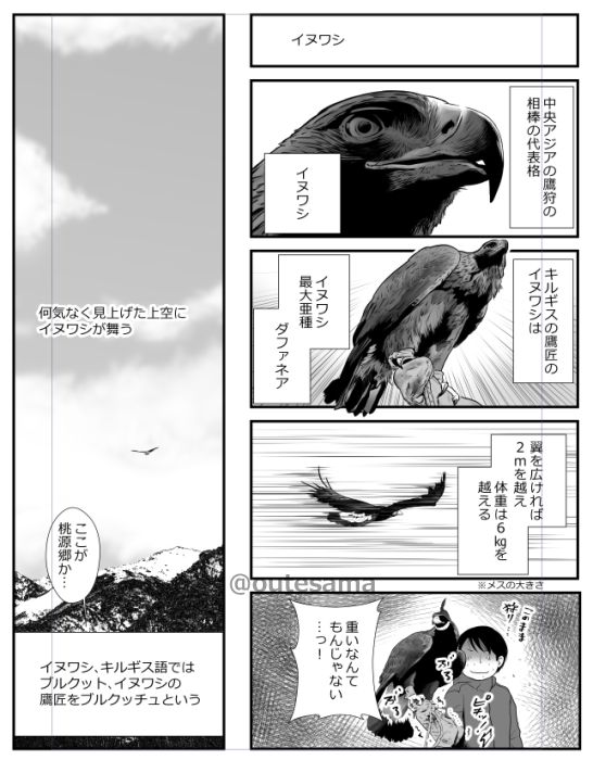 博フェスでのイヌワシ本に入れる予定です。
腕の先(拳)で6kgを支え続けるってかなりキツイです…💦 