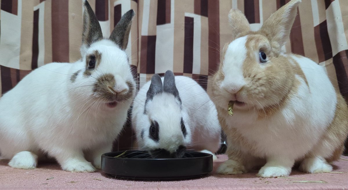 顔バカすぎて笑ってる