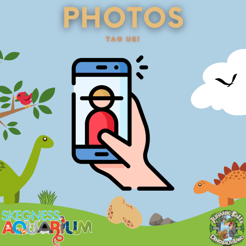 Tag us in all your awesome pics - we love to see and share them!

Just make sure they're taken with the flash mode off 📸😉