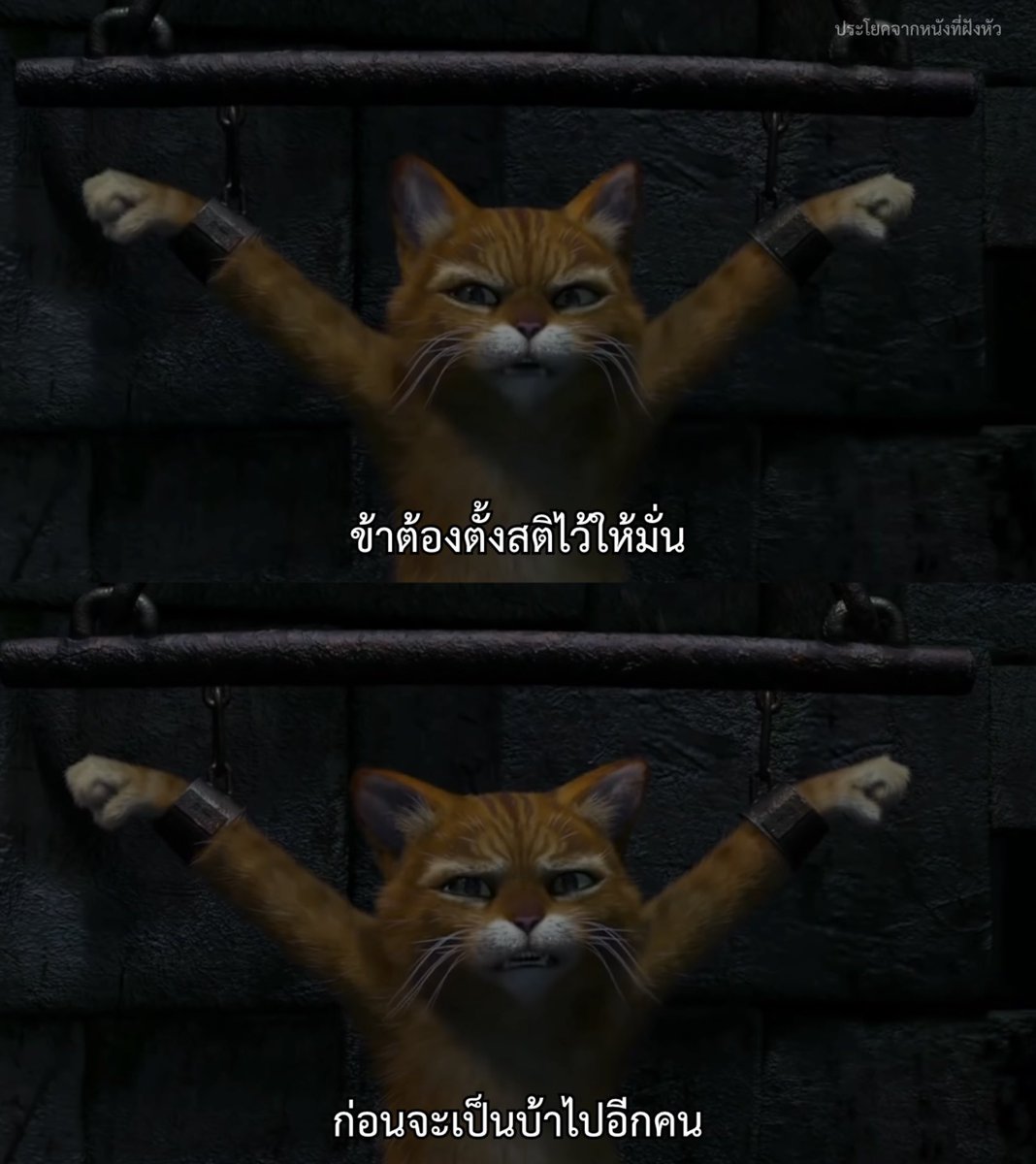 ใช้ชีวิตแบบต้องพยายามประคองสุขภาพจิตไว้อยู่ทุกวัน

- Shrek 2 -