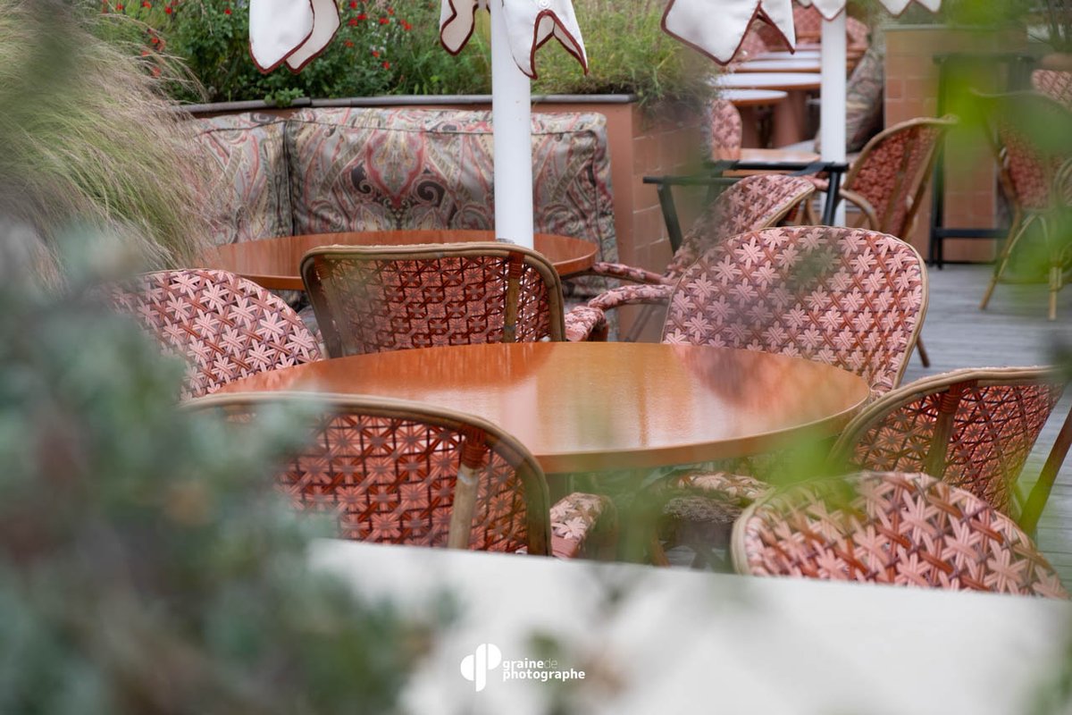 Graine de Photographe tweet media