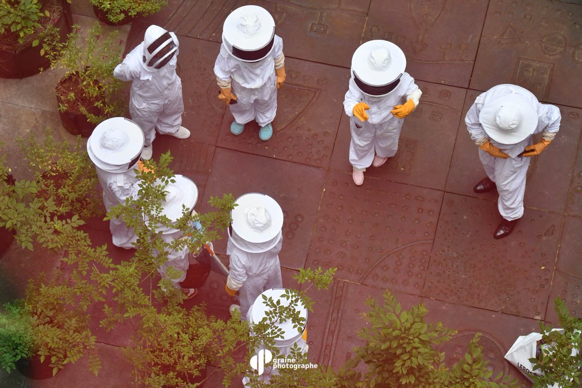 Graine de Photographe tweet media