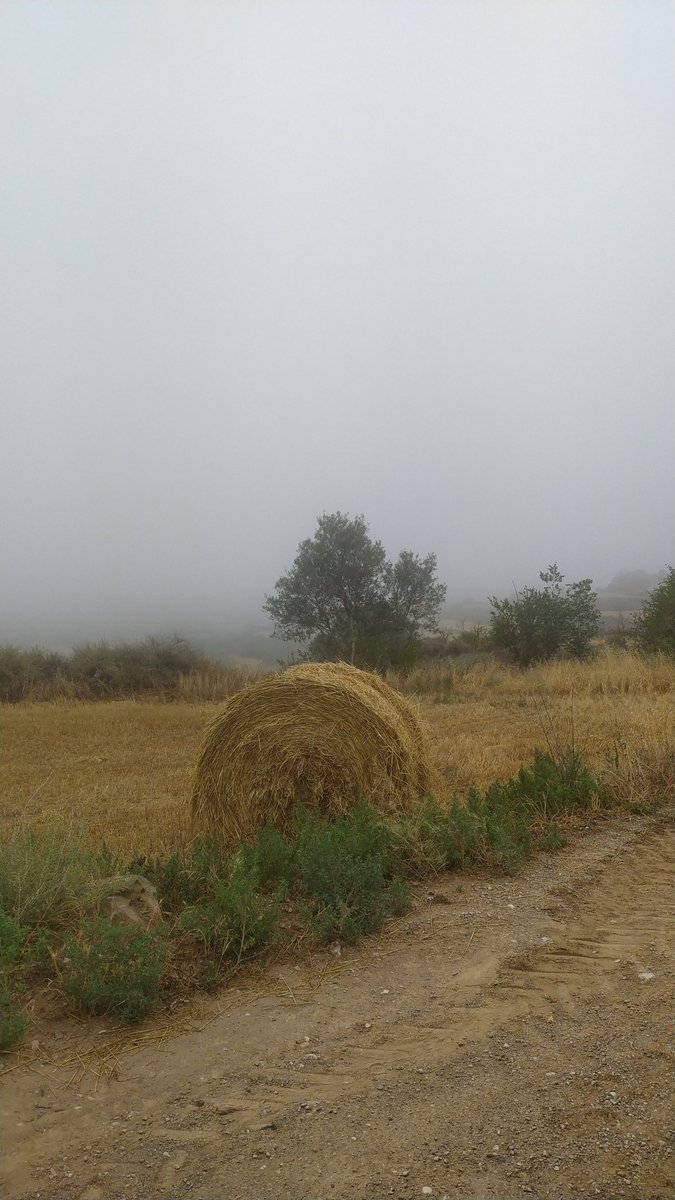 cescmasco's tweet photo. Quin mes sóm? https://t.co/hUYDuoNaVs