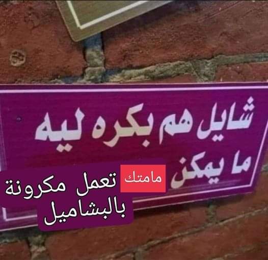 Arab Memes (@arabmemesss) on Twitter photo 