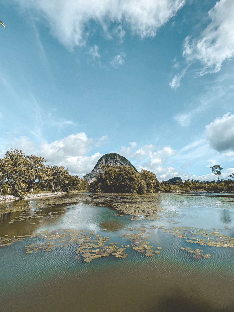 OhMyPerlis's tweet photo. Nature forever. Petang-petang camni seronok dok kat kampung boleh kayuh gereg pusing tengok pemandangan alam. 

📍: Panggas
📸: @annaasmad https://t.co/xNOhoKN8XM