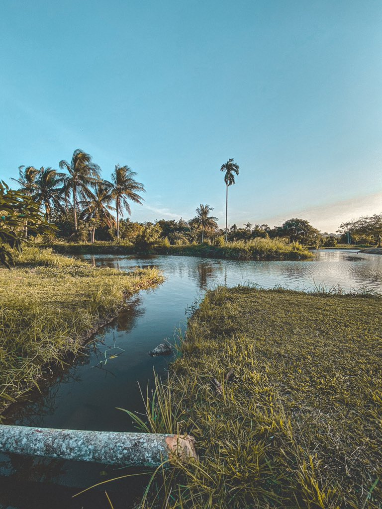 OhMyPerlis's tweet photo. Nature forever. Petang-petang camni seronok dok kat kampung boleh kayuh gereg pusing tengok pemandangan alam. 

📍: Panggas
📸: @annaasmad https://t.co/xNOhoKN8XM