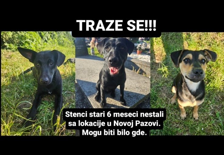 1pazovackeSape's tweet photo. ‼️‼️‼️ TRAŽE SE ‼️ ‼️‼️

NOVA PAZOVA https://t.co/6JiFONHyuP