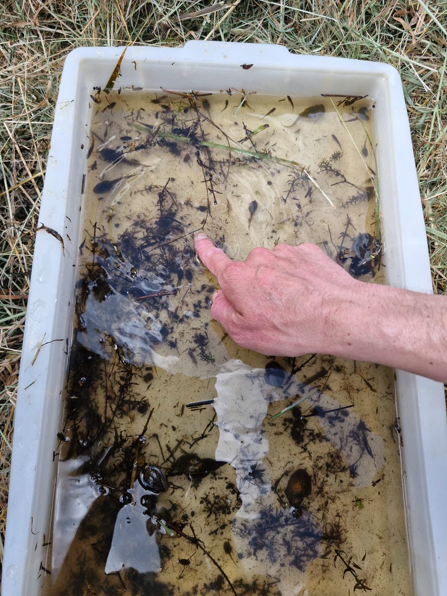 Agr. Natuur Drenthe tweet media