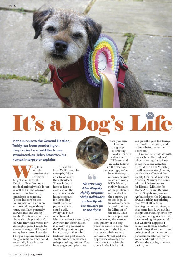 Lord Teddy, who loves his beddie! tweet media