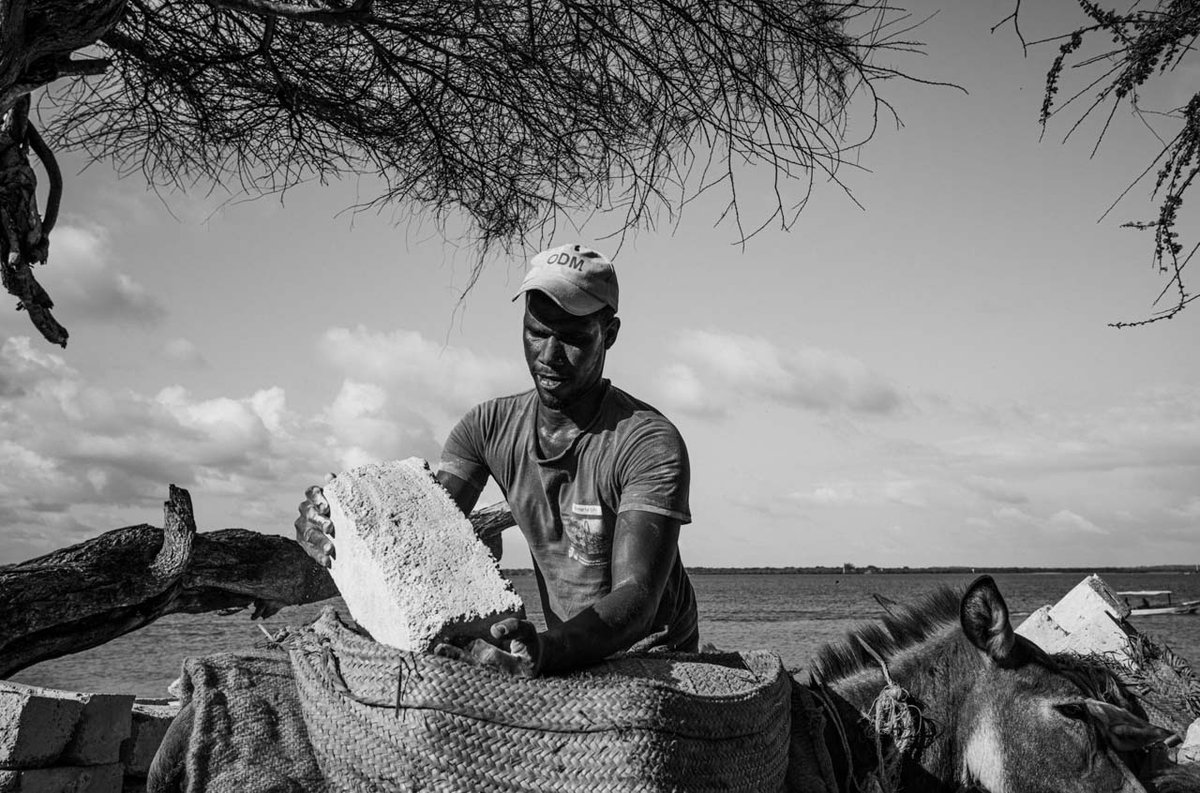 Graine de Photographe tweet media