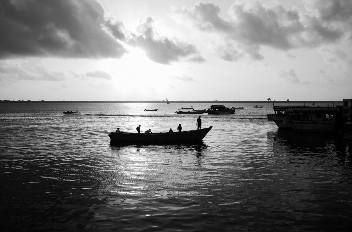 Graine de Photographe tweet media