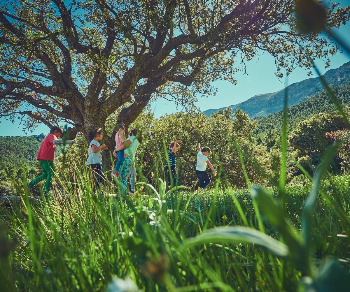 🏘️⚡️<a href="/mitecogob/">Transición Ecológica y Reto Demográfico</a> convoca ayudas por valor de 2⃣0⃣M€ para proyectos locales innovadores

Cubren hasta el 90% del gasto subvencionable (máx. 500.000€)

Categorías prioritarias ↓↓

🚶‍♀️Repoblación
💼Emprendimiento
⛪️Patrimonio
🩺Actividades sociosanitarias

tinyurl.com/2h4y3tmc