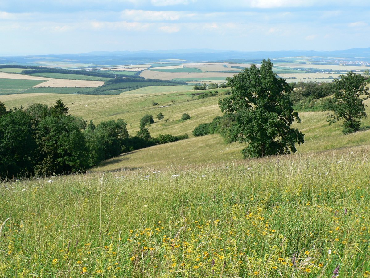 Liming of grasslands is a common agronomic practice but what are the implications of supporting this activity for climate regulation and grassland productivity? Find out here: ow.ly/Bok150Sp27s