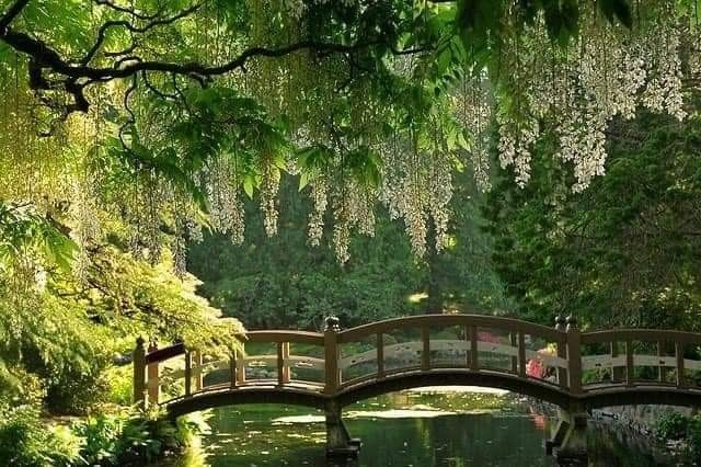 softdeIicacy's tweet photo. secret place. https://t.co/atkqozkSfq