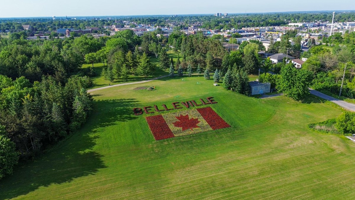 Neil Ellis tweet media