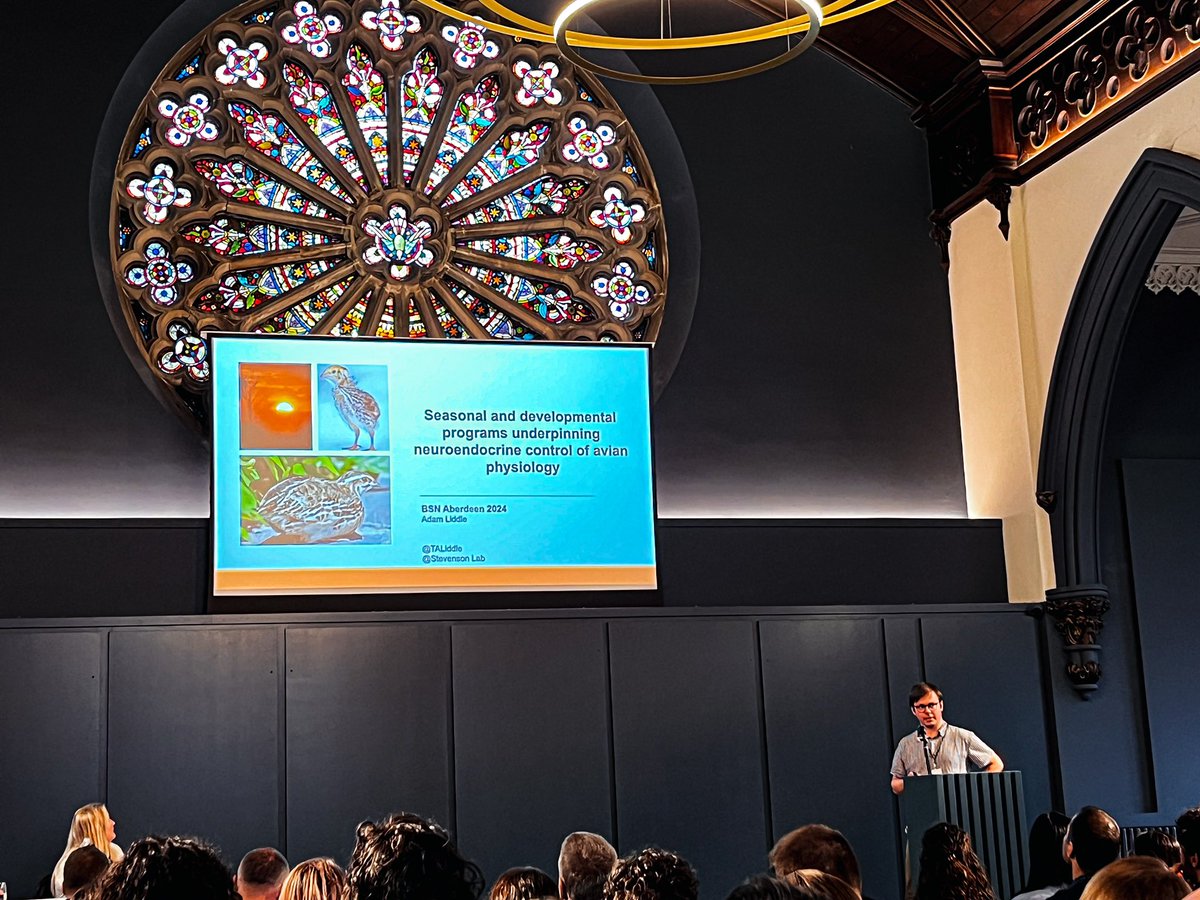 Irem Denizli (@iremdenizlimsc) on Twitter photo Great talk in BSN’24 by <a href="/TALiddle/">Adam Liddle</a> on seasonal and developmental programming in Japanese quail! 👏 Great talk in BSN’24 by <a href="/TALiddle/">Adam Liddle</a> on seasonal and developmental programming in Japanese quail! 👏