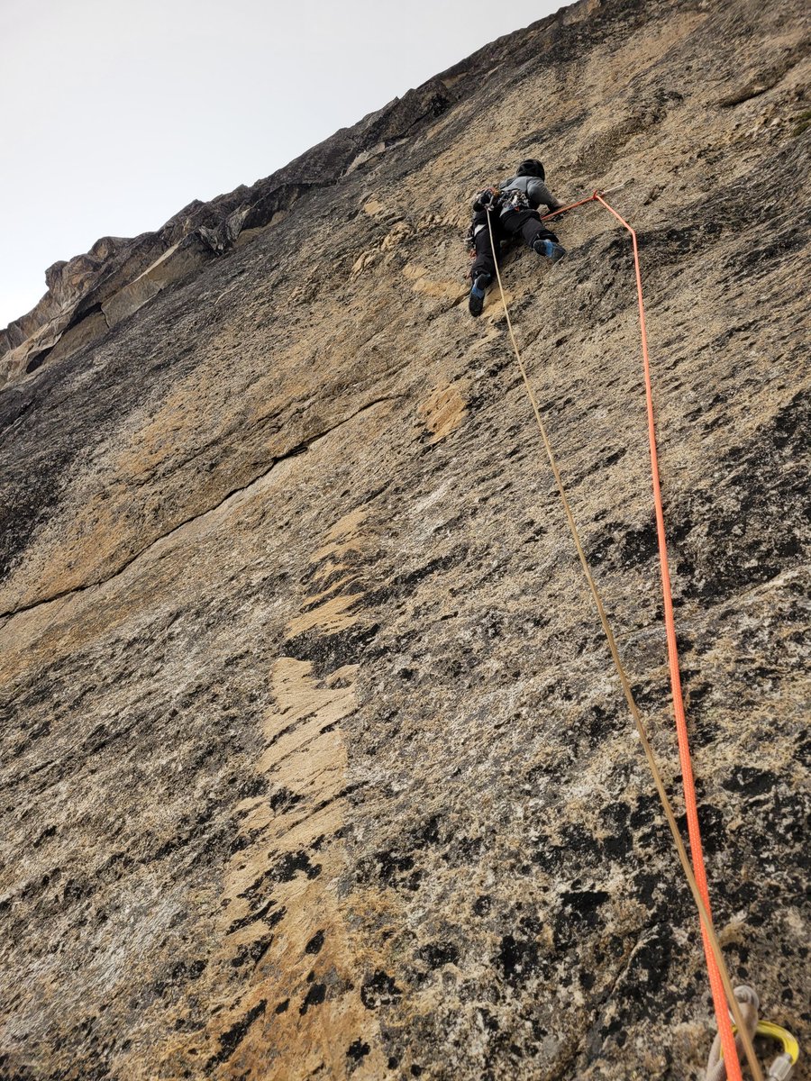 Calum Muskett tweet media