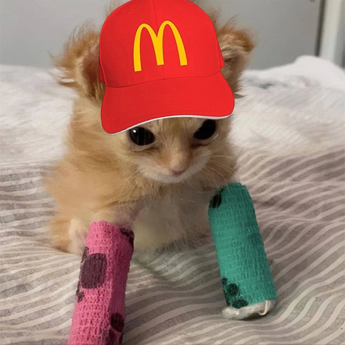 tater_sol's tweet photo. @lynk0x AN HANDICAPPED CAT IS PUMPIN'
60 IN VC RN!
$TATER https://t.co/kU0nizMlXz