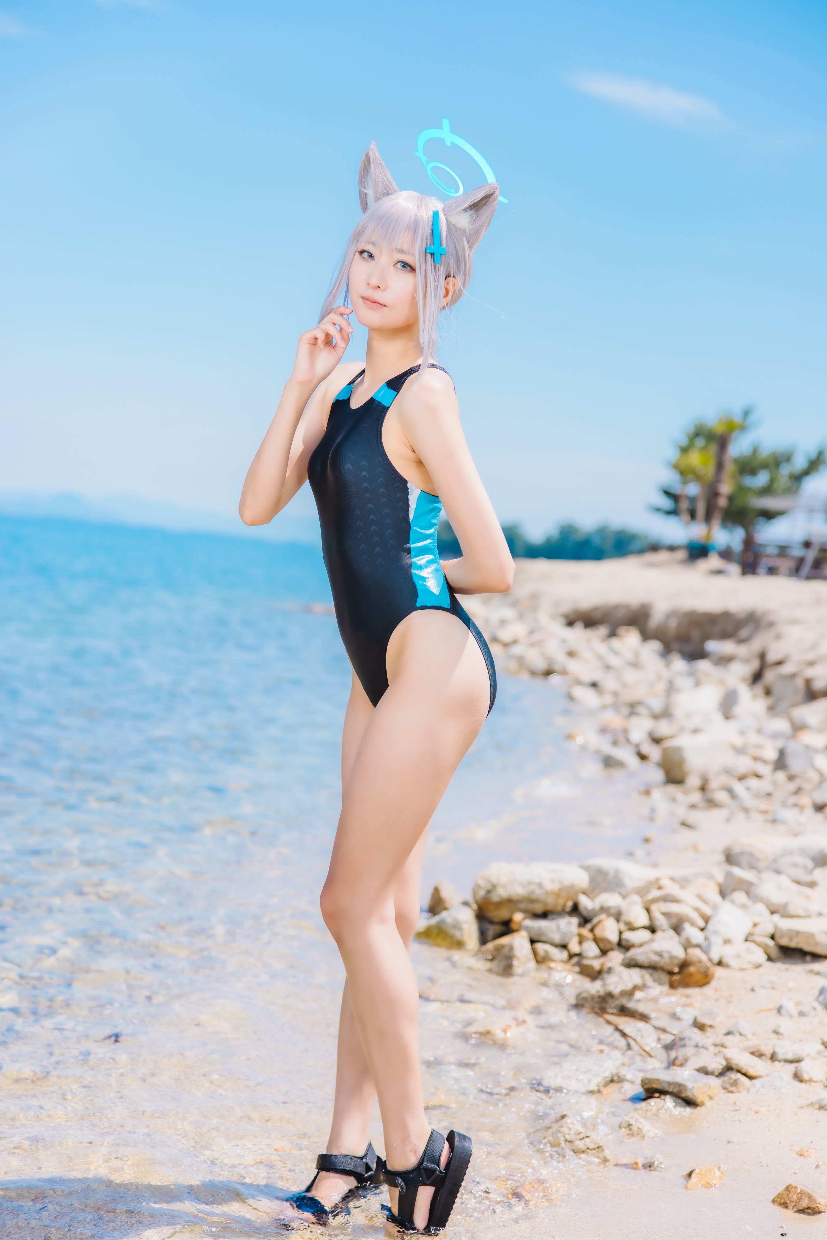からす on X: からす on X: