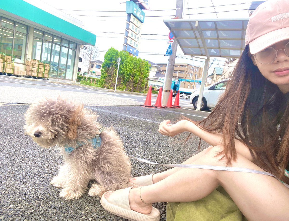 Roxy 可愛い tweet media