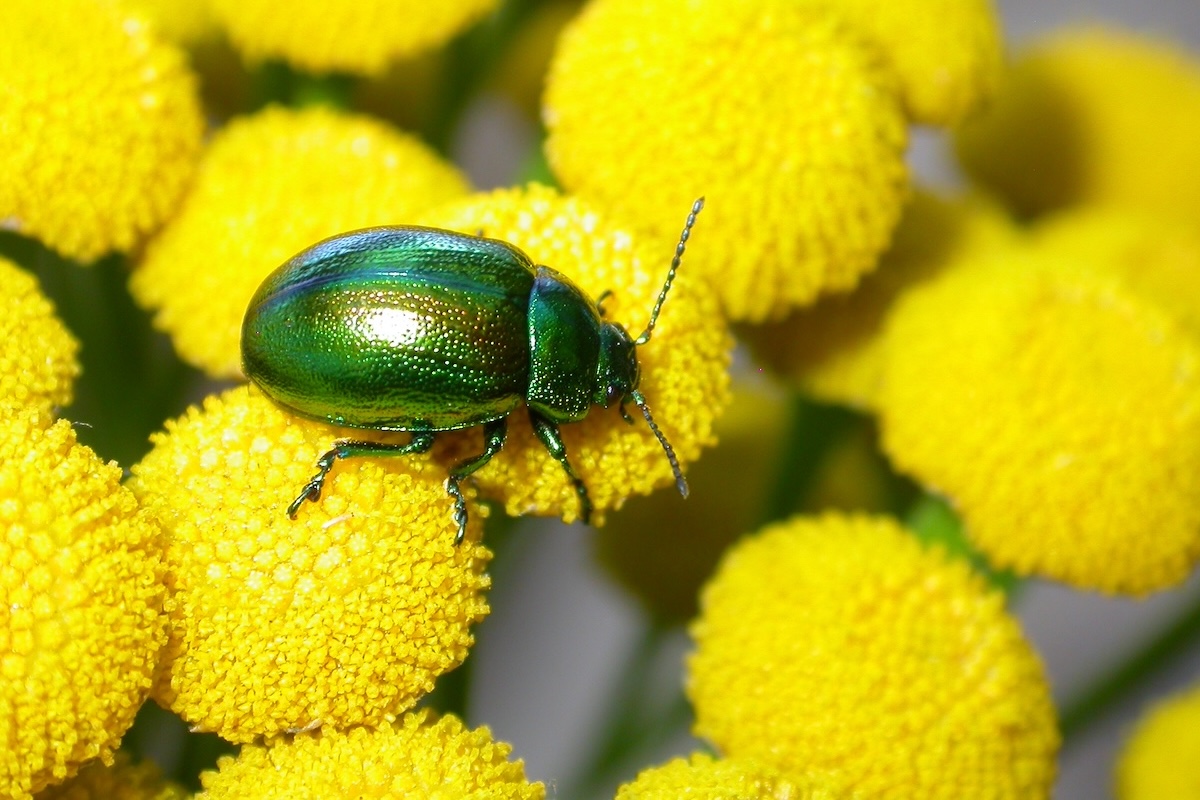 SustMeme's tweet image. Latest issue of @SustMeme Magazine out now — stories new and old:
👣 Demystifying #carbon reporting;
🔐 Certainty in an uncertain world;
✈ Planes, cars and #chargepoints;
📈 #Heatpumps are new metric;
📆 Events &amp;amp; Diary.
Read + sign-up for free here: buff.ly/3RS1BbX