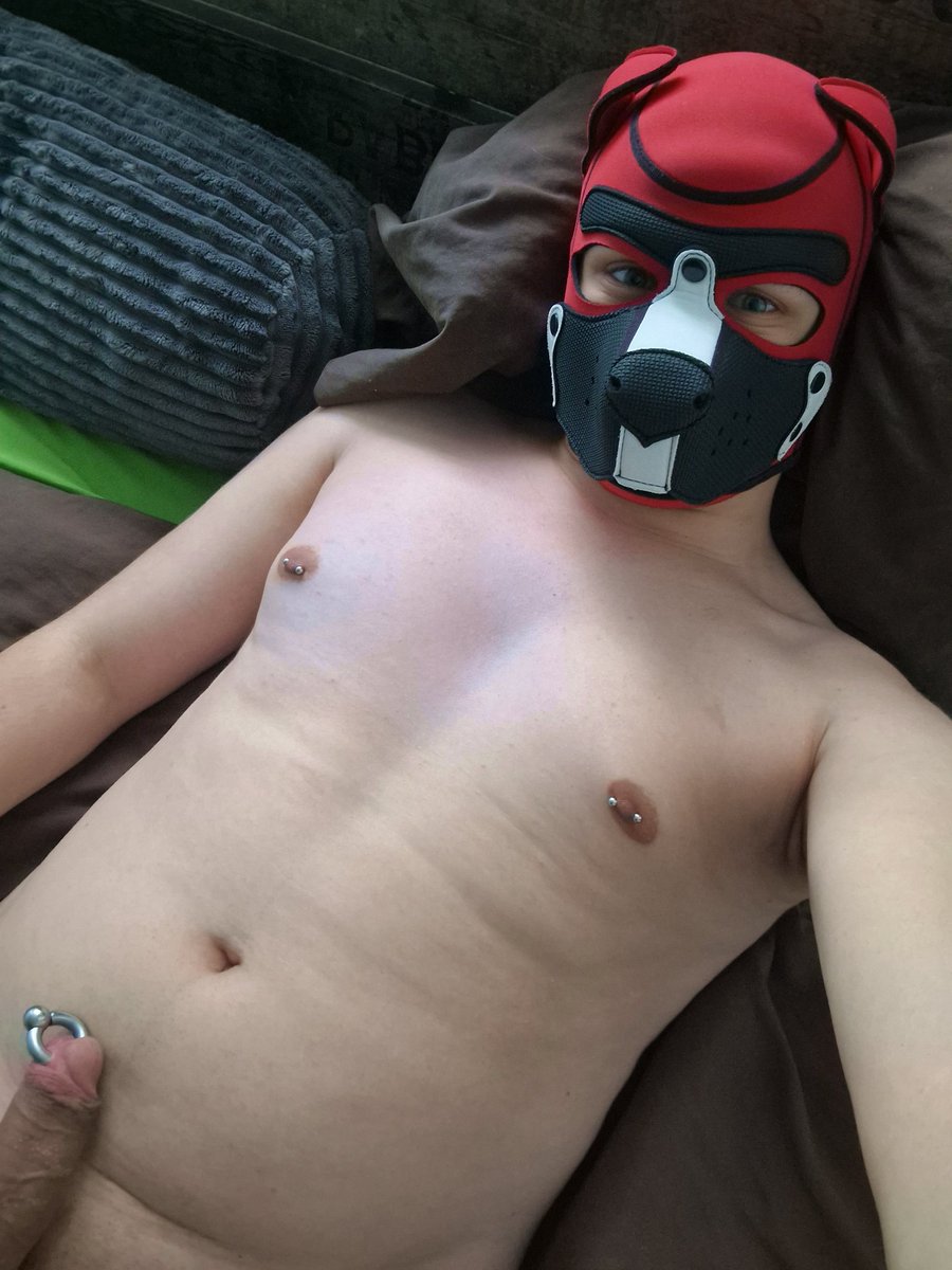 I'm not Cute 
#puppyplay #gay #pierced

Like= Cutie  Comment=adorable(why?)
Repost= 😍😍😍