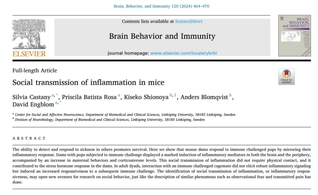 New paper out! 🐁🐀🧠
We show that inflammatory responses can be socially transmitted among conspecifics, especially in the postnatal period. 
<a href="/BrainBehavImm/">BrainBehavImm</a> <a href="/CSAN_LiU/">CSAN</a>

Thanks to all the team 😄
doi.org/10.1016/j.bbi.…