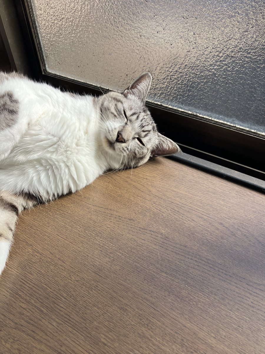 henyo_u's tweet photo. おねがいだから、もうやめてください。 https://t.co/IheNsxGkP8