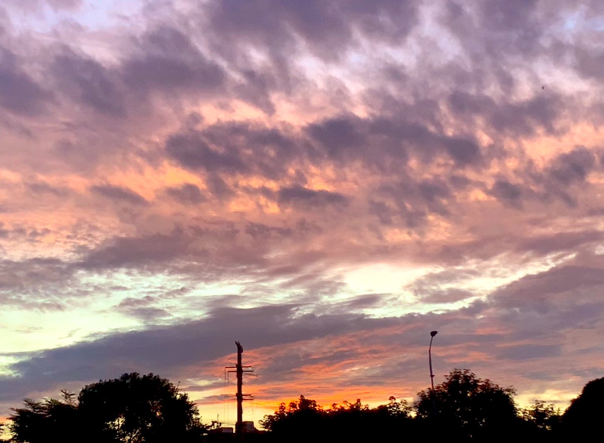 🎸🥐🍒cccoldヅ tweet media