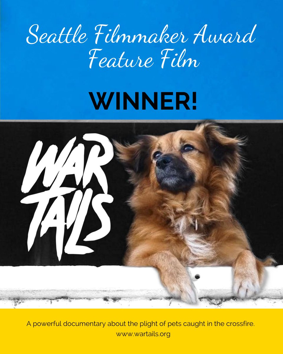Saving Dogs &amp; Cats Caught in the Crossfire.
"A testament to the resilience of the human spirit and our boundless capacity for compassion."