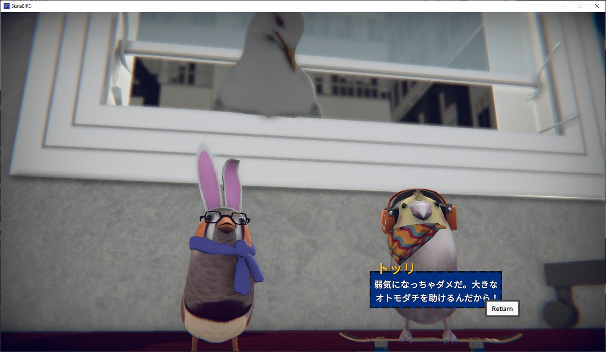 dodox_dodo's tweet photo. 可愛さと愛に溢れすぎてる…
#skatebird https://t.co/AHyhPFwGGj