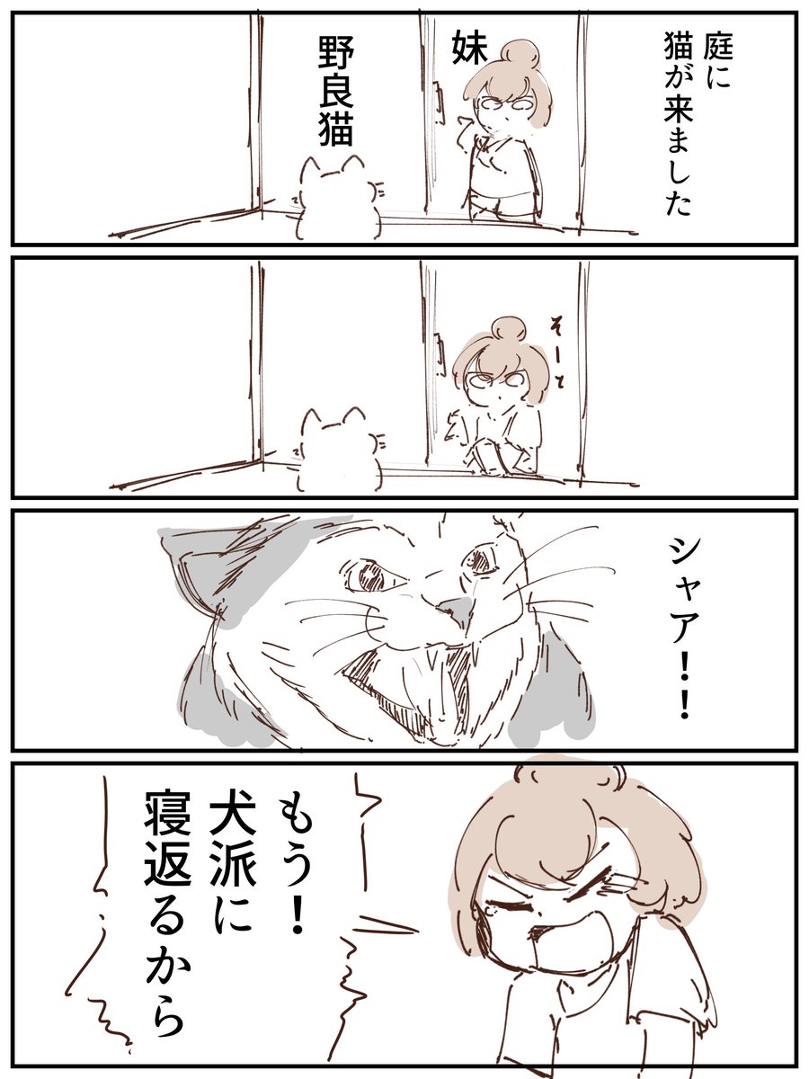 今日の日記です 