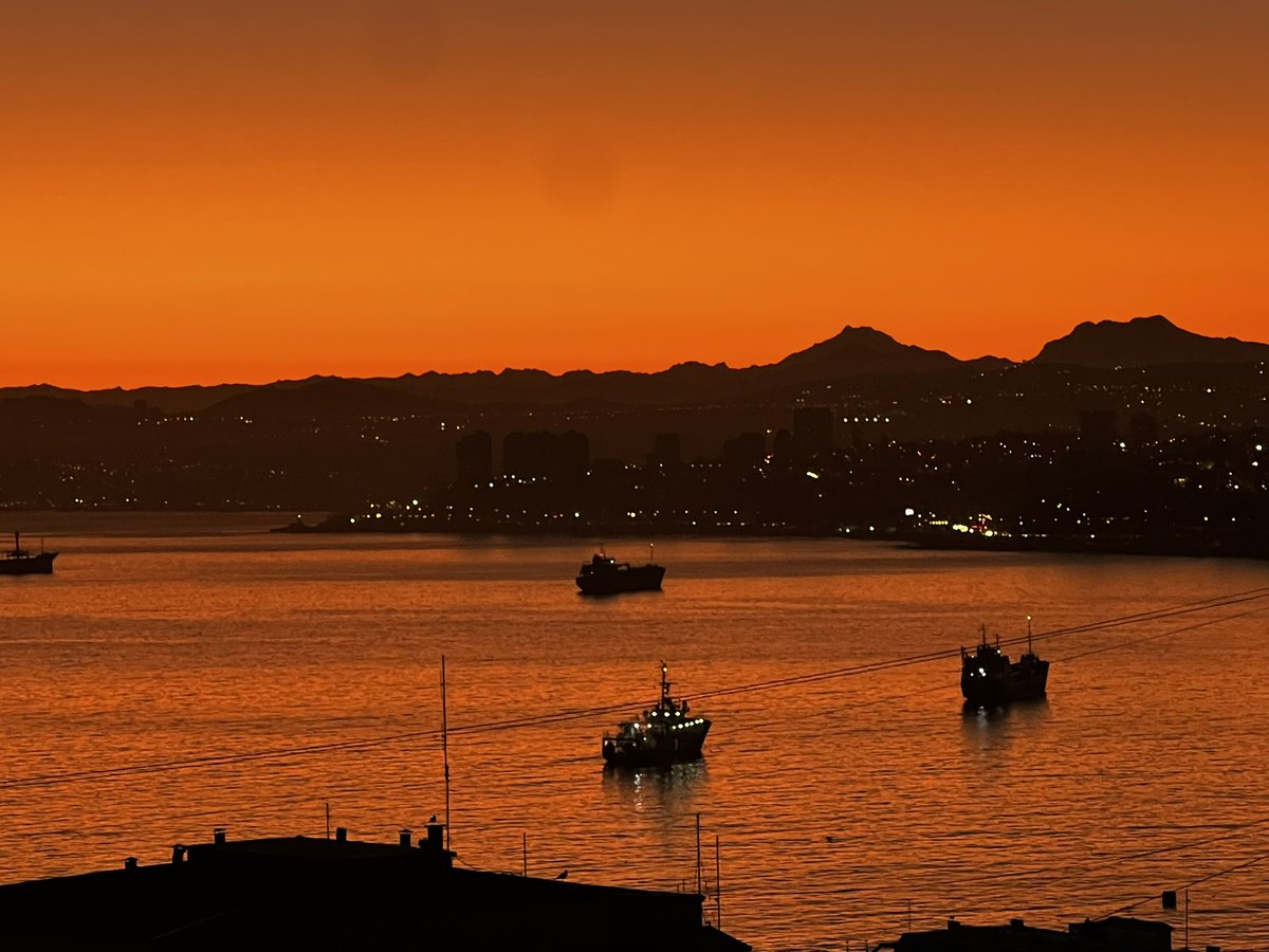 Macarena Carroza tweet media