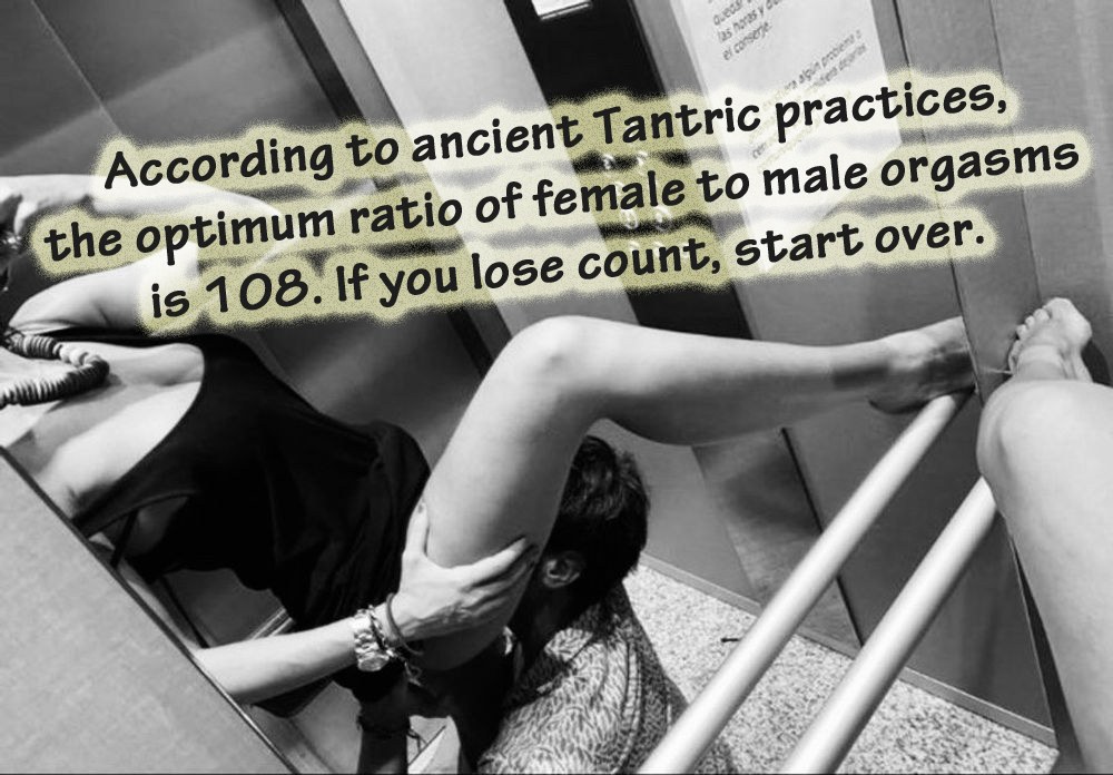 wildmonkeysects's tweet image. 