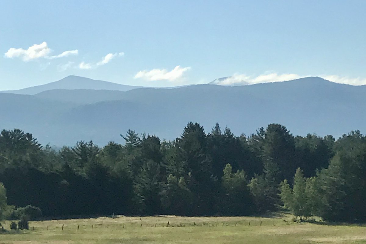 July 1

I see from this hill
the horizon-edge distinct
clear air after rain.

Shadows pass slowly
over the green forest top
clouds floating in sky.

A late breeze rises
wood thrush and tanager sing
sparkling the river.

July 1, 1854