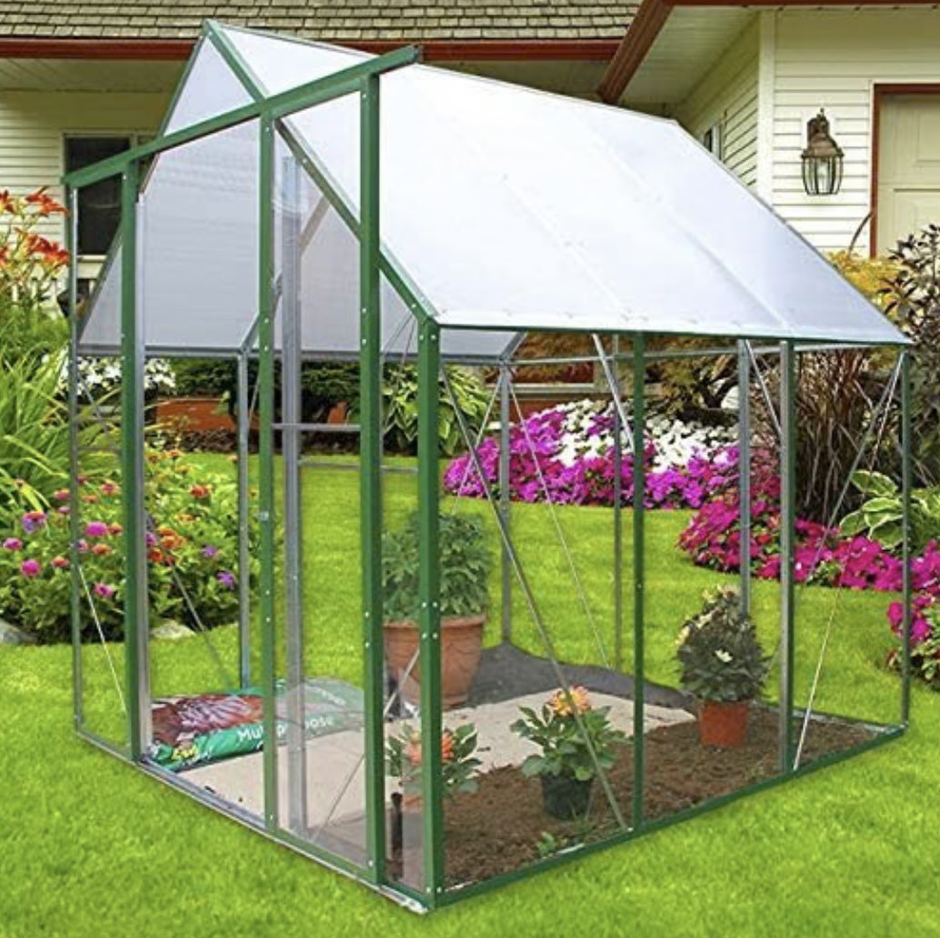 ThornsDIY's tweet photo. Looking for a new greenhouse, then check this one out! 36sq feet of growing space £149.99

Due to its weight &amp; size it’s Norfolk delivery only. If you want to take a look at it, please ask in our office on the 1st floor #norwich #gardening #greenhouses https://t.co/Rm7uF1h8cp