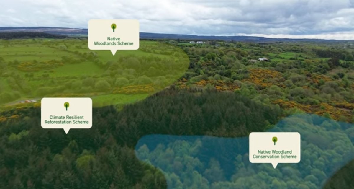 Ó Foghlú tweet media