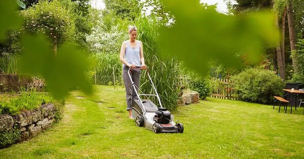 Leicester Updates tweet media