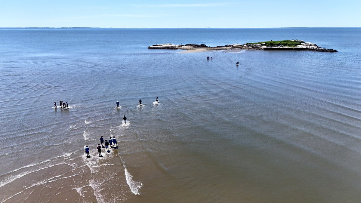 Oxford1906's tweet image. Nature’s classroom 🌊🦀
On Friday, Mr. Price, Mr. Forrest, and their Marine Biology students waded out to Salt Island for a hands-on lesson in local biology and ecology.
We are grateful to have these #placebasedlearning opportunities right in our backyard.