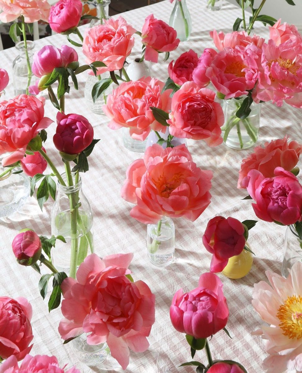 We bid farewell to our fave stem... until next year peonies 👋 💗
