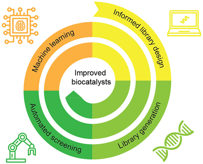 ACS Central Science (@acscentsci) on Twitter photo Large-scale, automated screening and active machine learning can increase the success rate and efficiency of enzyme engineering
NEW #ASAP by <a href="/JeschekLab/">JeschekLab</a>, <a href="/arkrause/">Andreas Krause</a>, <a href="/WardGroupBS/">Ward Group</a> & colleagues
Read it here: go.acs.org/a28 Large-scale, automated screening and active machine learning can increase the success rate and efficiency of enzyme engineering
NEW #ASAP by <a href="/JeschekLab/">JeschekLab</a>, <a href="/arkrause/">Andreas Krause</a>, <a href="/WardGroupBS/">Ward Group</a> & colleagues
Read it here: go.acs.org/a28