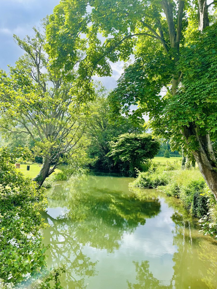 Back on home soil for too long. Longing for escape. Luckily the lush English countryside keeping me sane 💚