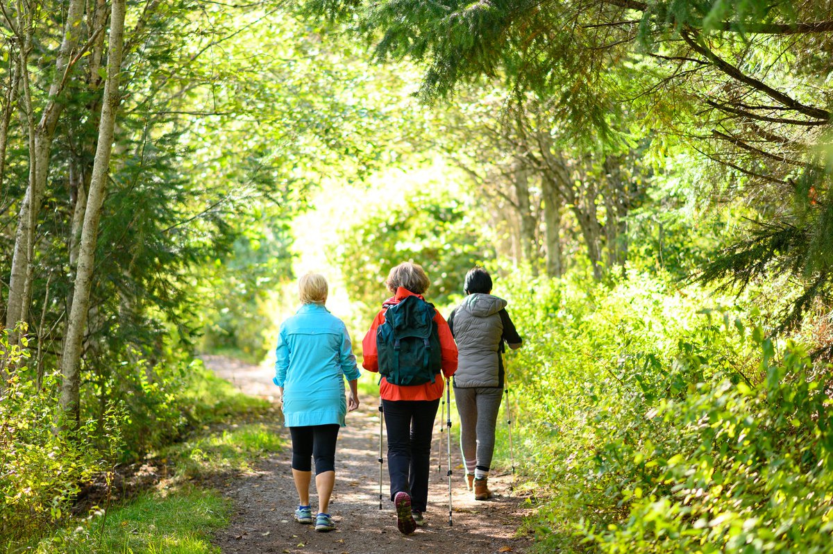Which factors are associated with more weekly walking among #olderpeople ?

✅Prior sporting activity
✅Walking for pleasure
✅Having close friends
✅Local retail destinations

Poor health was strongest predictor of weekly walking hours. New paper - doi.org/10.1016/j.socs…