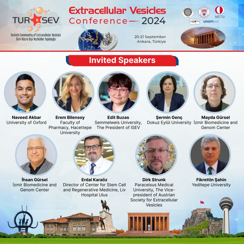 Count down for the Extracellular Vesicles Conference - 2024. Date: 20-21 September, Place: Ankara, Turkey (tursev.org). #ExtracellularVesicles #Exosomes
<a href="/burakderkus/">Burak Derkus</a>
<a href="/fatihhincii/">Fatih Inci</a>
<a href="/acarahme/">Ahmet Acar</a>
<a href="/EditBuzas/">Edit Buzas</a>
@Naveed_Akbar_
#DirkStrunk
<a href="/IsevOrg/">ISEV</a>
<a href="/ASEV_Austria/">ASEV - Austrian Society for Extracellular Vesicles</a>
<a href="/UKEVSoc/">UK Society for Extracellular Vesicles</a>
@SNEV