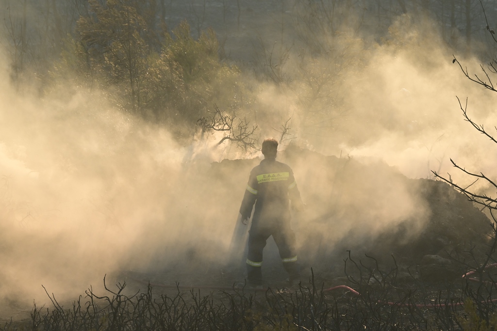 Griechenland Zeitung tweet media